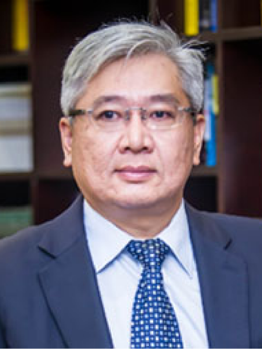 胡斌(中電光谷執行董事,執行總裁) 胡斌(中電光谷執行董事,執行總裁)