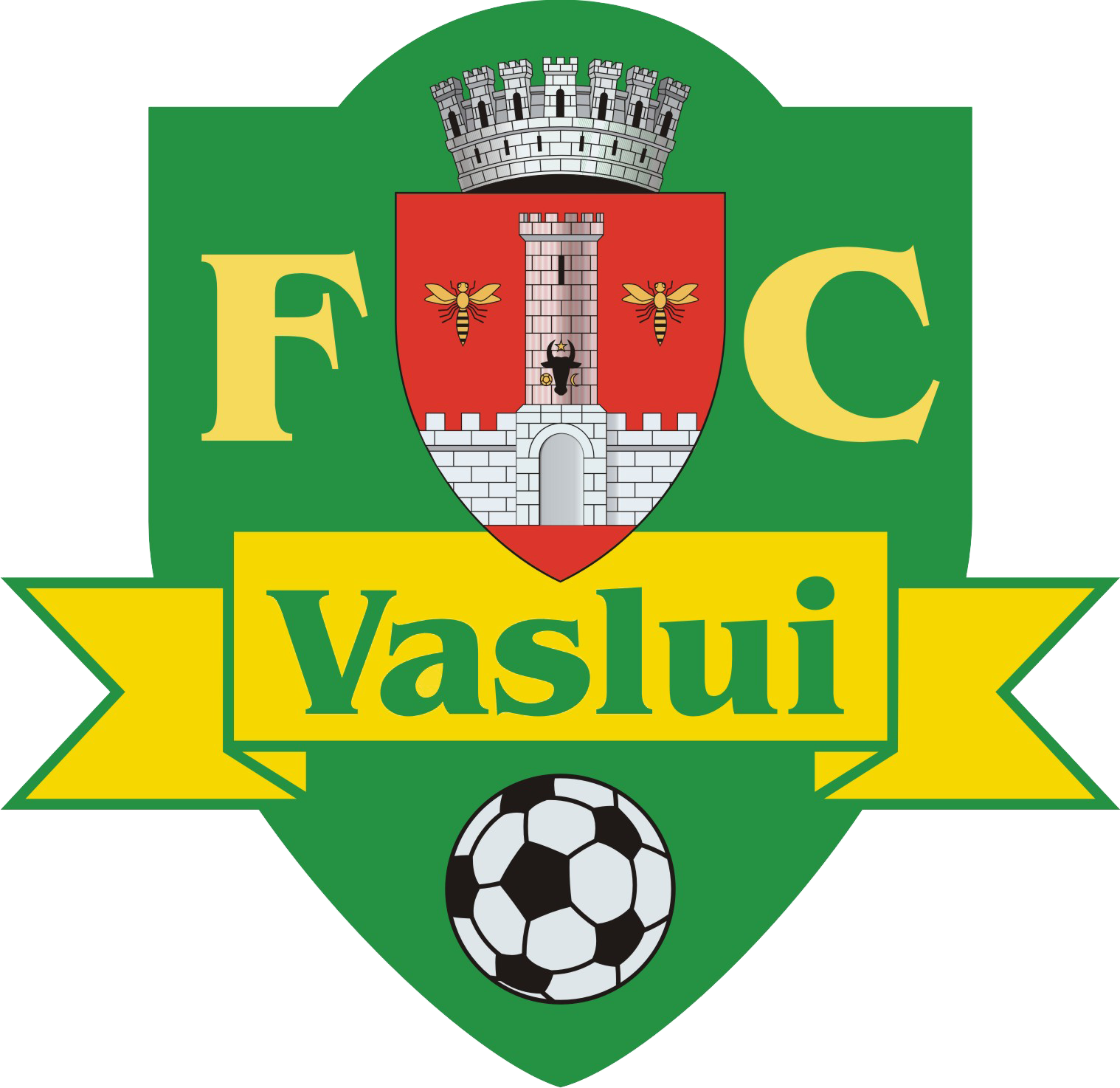 瓦斯盧伊足球俱樂部