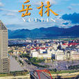 岳林街道 岳林街道