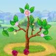 種植遊戲 種植遊戲