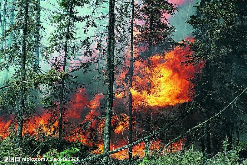 國務院辦公廳關於調整國家森林防火指揮部組成人員的通知(2013年8月23日版)