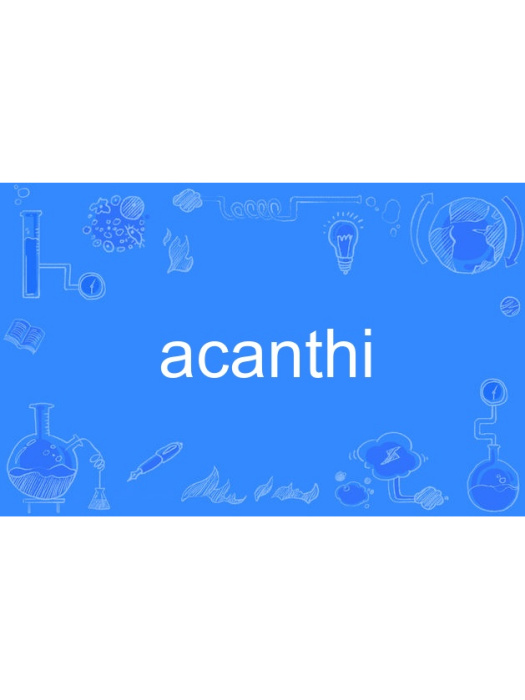 acanthi acanthi