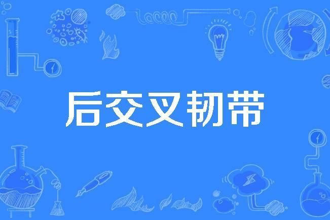 後交叉韌帶 後交叉韌帶