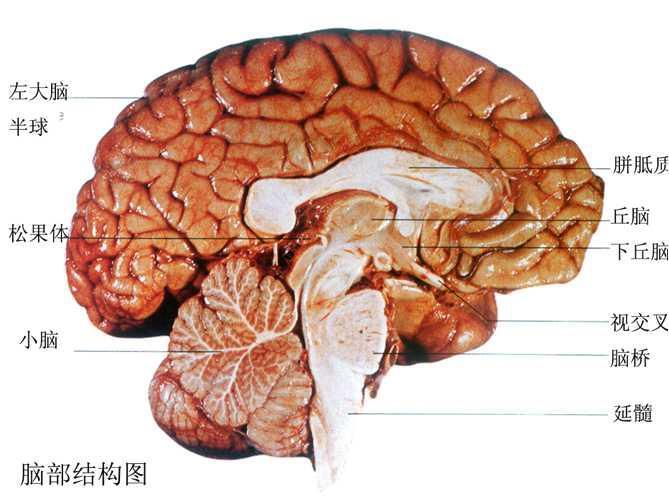 等勢原則 等勢原則