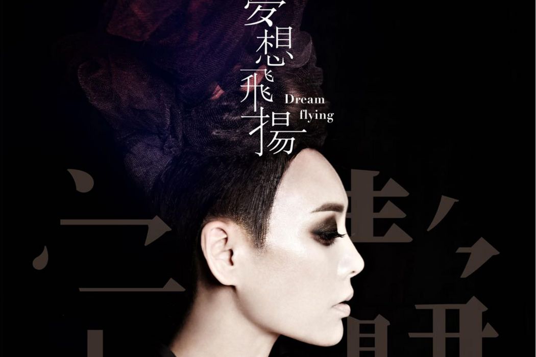 夢想飛揚(2020年寧靜演唱的歌曲) 夢想飛揚(2020年寧靜演唱的歌曲)