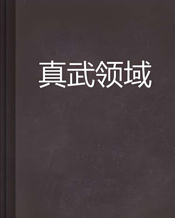 真武領域 真武領域