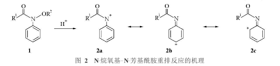 N-烷氧基-N-芳基醯胺重排反應的機理