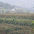 土地坡村(雲南馬龍縣馬過河鎮下轄村) 土地坡村(雲南馬龍縣馬過河鎮下轄村)