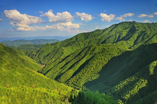 烏岩嶺生態景觀