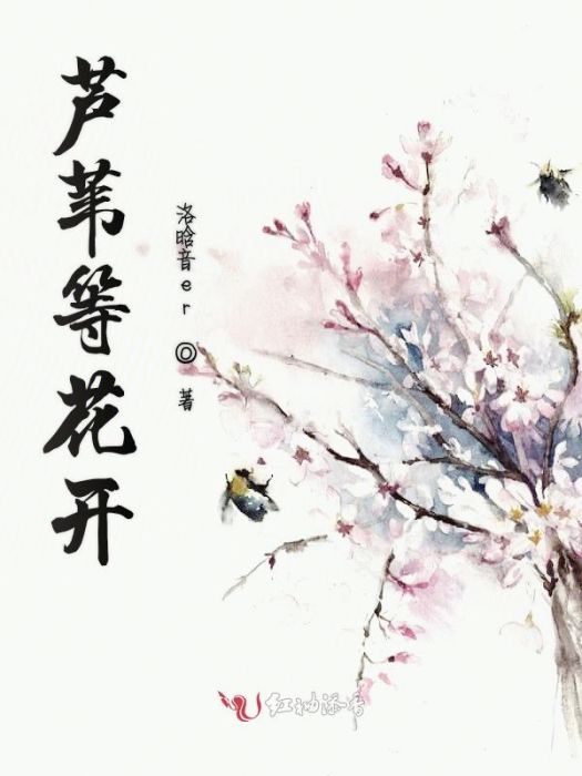 蘆葦等花開 蘆葦等花開