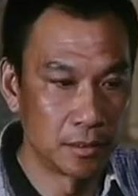鳳凰琴(1994年李保田主演電影)