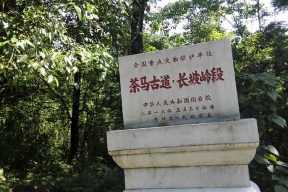 長坡嶺古道 長坡嶺古道