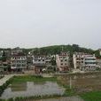 新旺村(紹興新昌縣羽林街道新旺村) 新旺村(紹興新昌縣羽林街道新旺村)