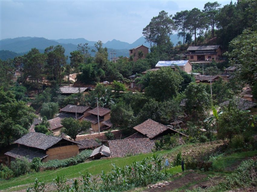 樹嘎村 樹嘎村