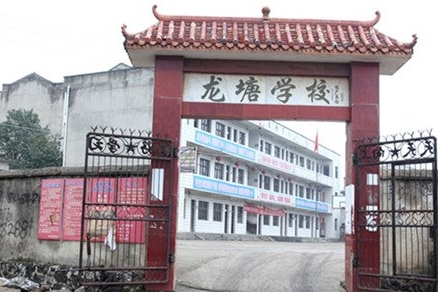 龍塘學校 龍塘學校