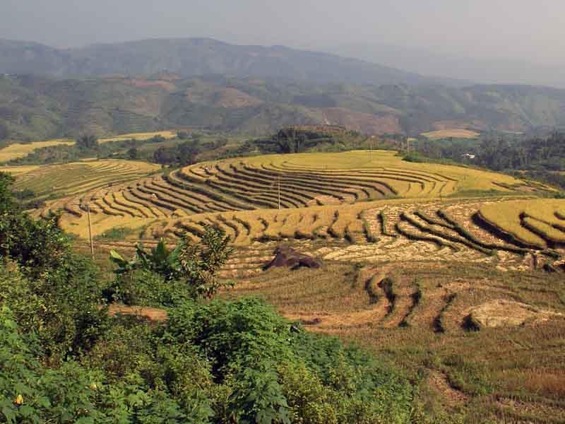 沙藥村 沙藥村