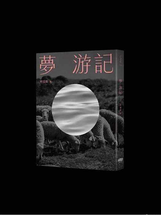 夢遊記(柯佳嬿創作的長篇小說) 夢遊記(柯佳嬿創作的長篇小說)