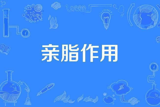 親脂作用 親脂作用