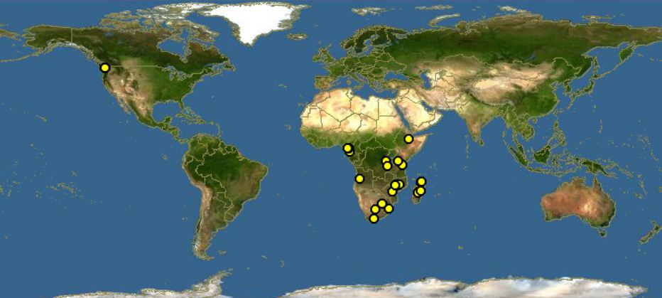 非洲桂櫻分布圖