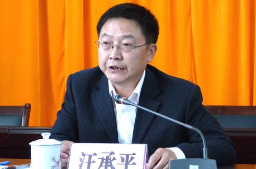 汪承平(皖西學院外語系主任、副教授) 汪承平(皖西學院外語系主任、副教授)