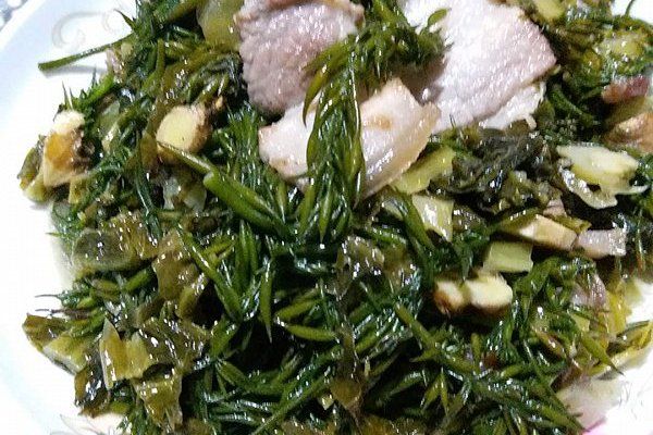 大麥菜 大麥菜