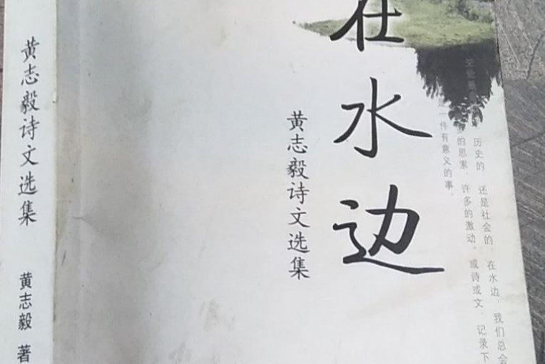 在水邊(2008年山東友誼出版社出版的圖書) 在水邊(2008年山東友誼出版社出版的圖書)