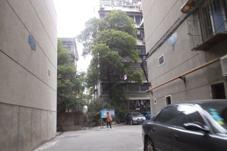 中意花苑 中意花苑