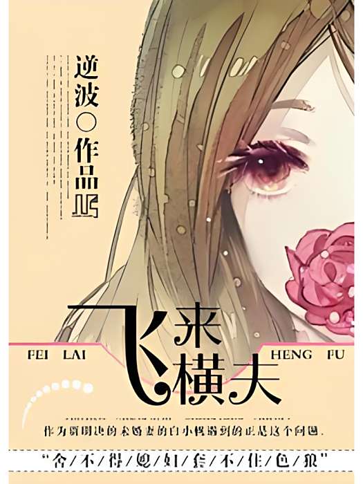 飛來橫夫 飛來橫夫