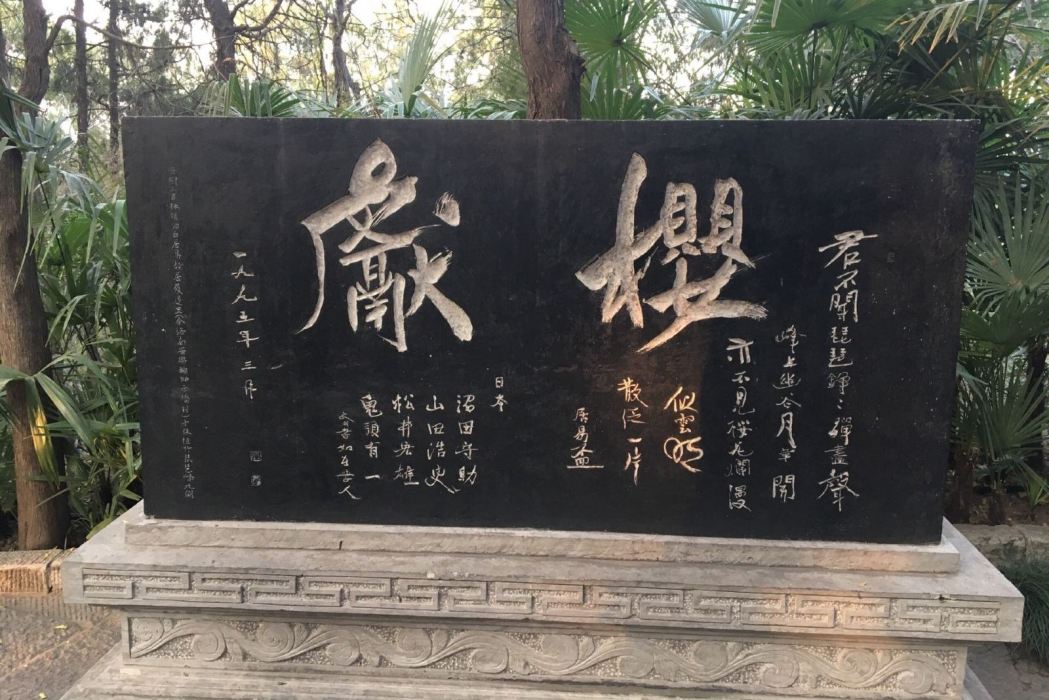 櫻獻