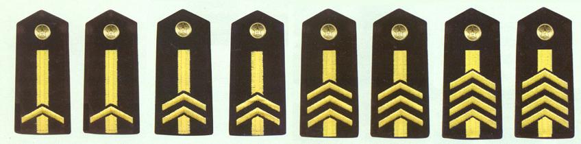 解放軍海軍專業軍士肩章(1993-1999)