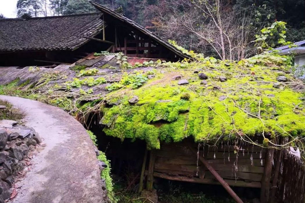 利灣村 利灣村
