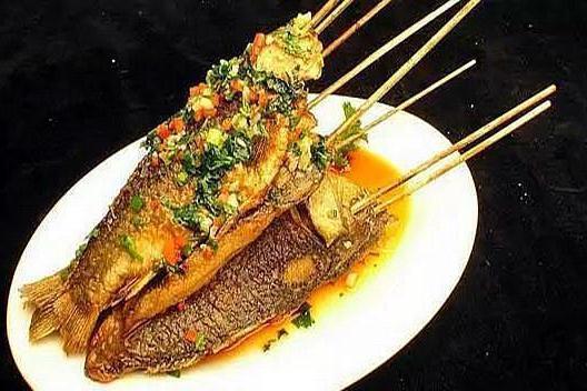 火把魚 火把魚