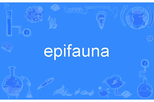 epifauna epifauna