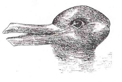 鴨兔錯覺，認知錯覺的名例