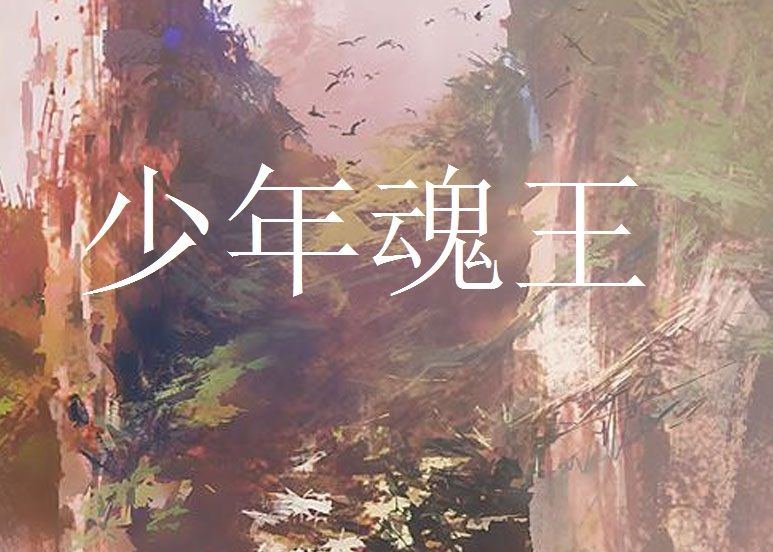 少年魂王 少年魂王