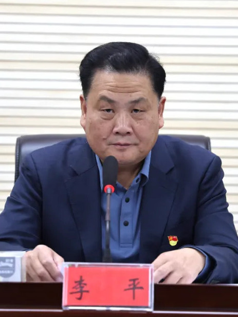 李平(湖北省委第一巡視組組長)