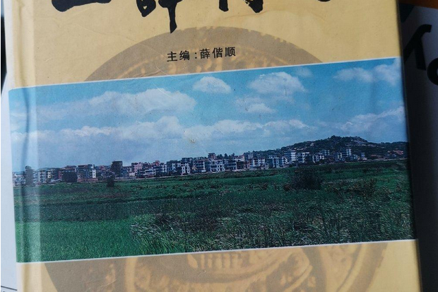 上薛村志 上薛村志