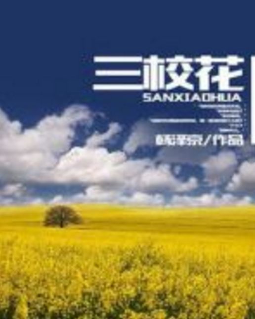 三校花 三校花