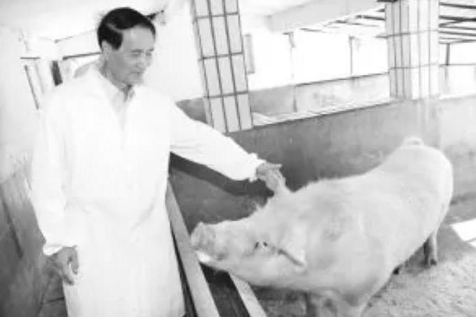 許家騏 許家騏