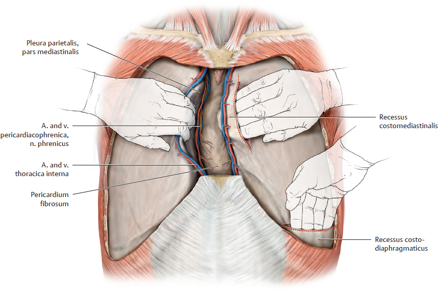 胸膜隱窩