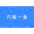 六險一金 六險一金