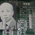 林世榮(豬肉榮(著名武術大師)) 林世榮(豬肉榮(著名武術大師))
