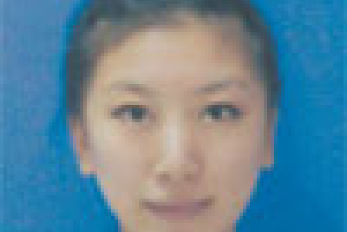 劉婉司 劉婉司