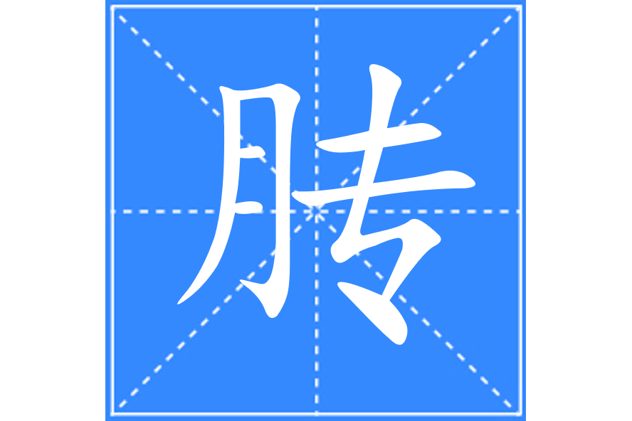 膞 膞