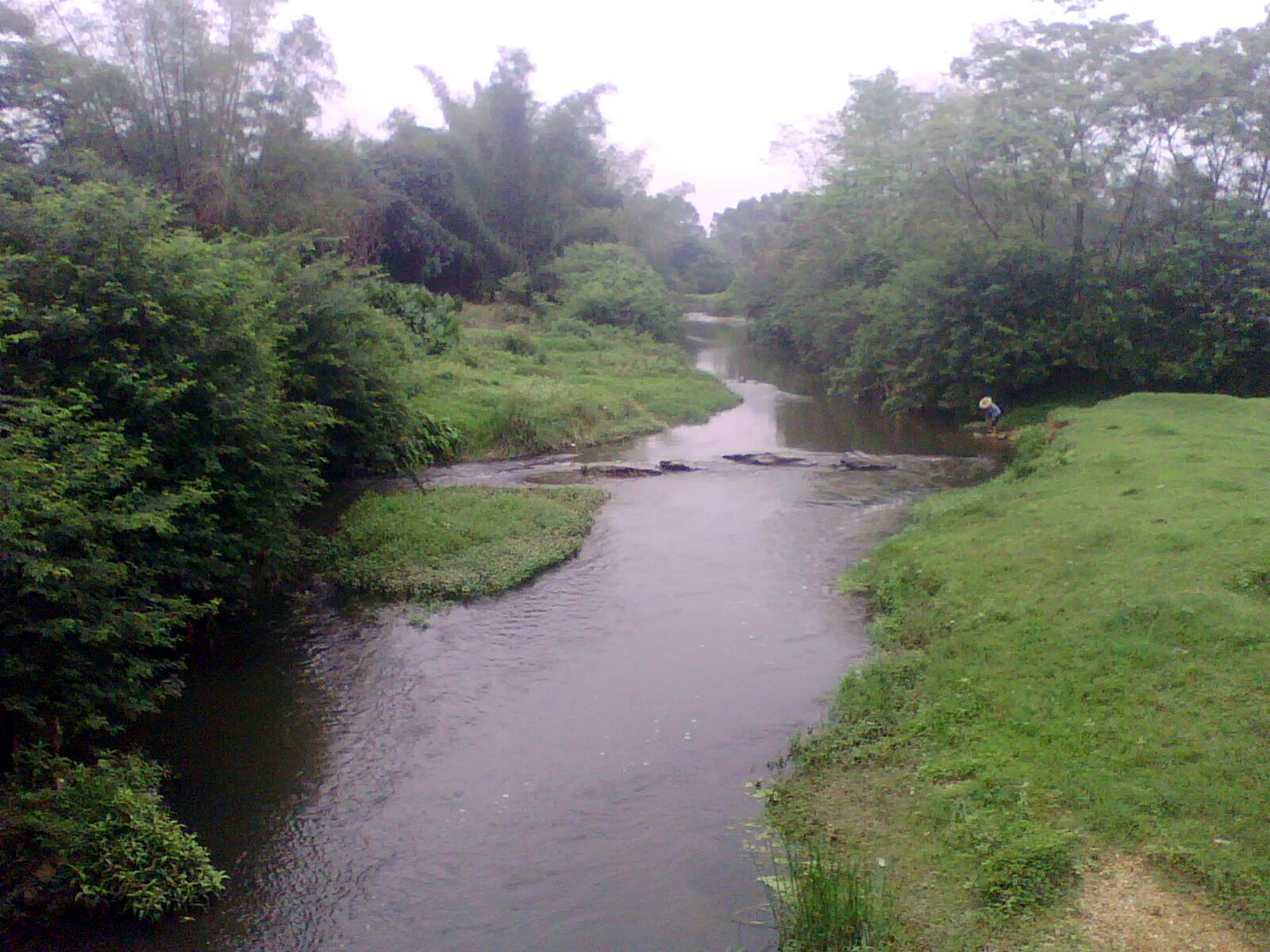 坡頭村蕉林河的支流潭蓮河