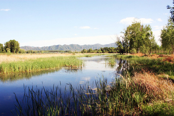 香村營村 香村營村
