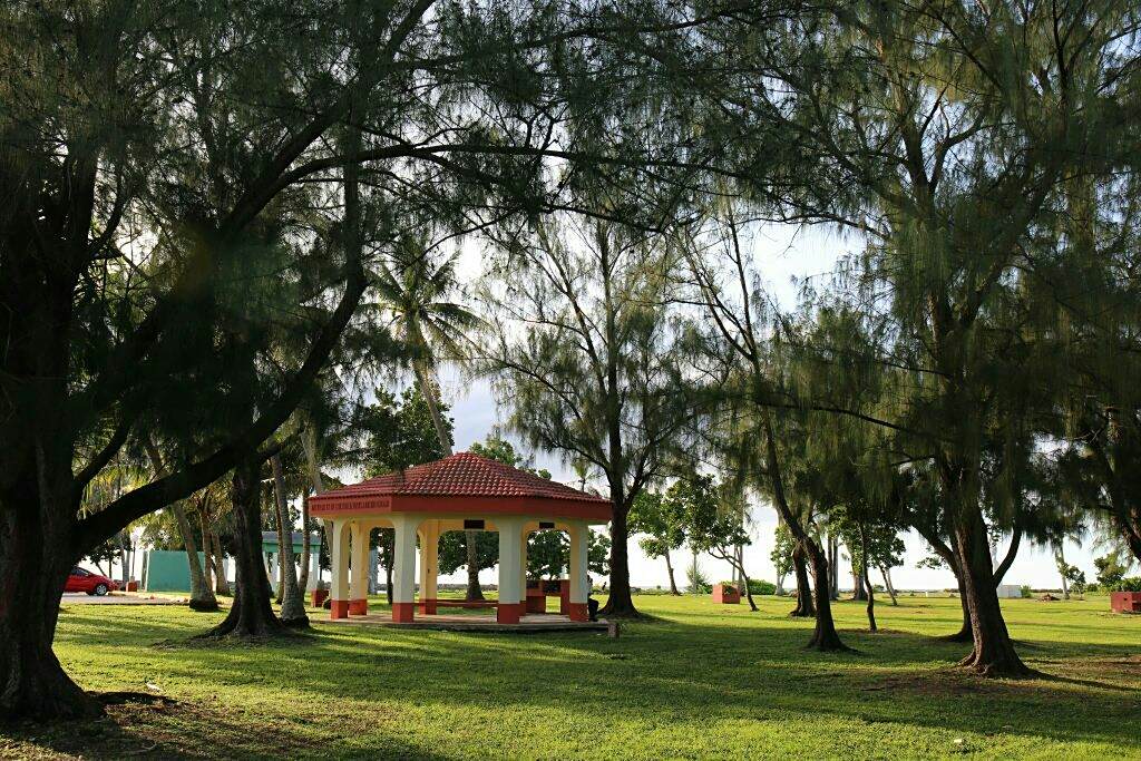 洛莫甸村 洛莫甸村