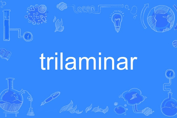 trilaminar trilaminar