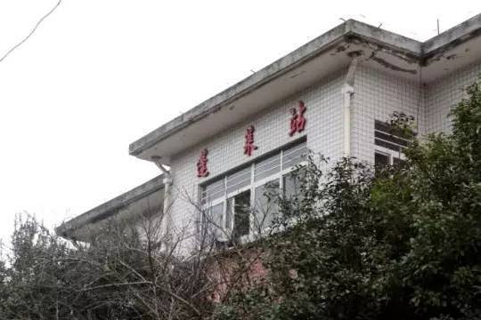 蓬萊村站 蓬萊村站