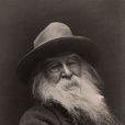 沃爾特·惠特曼(Walt Whitman)